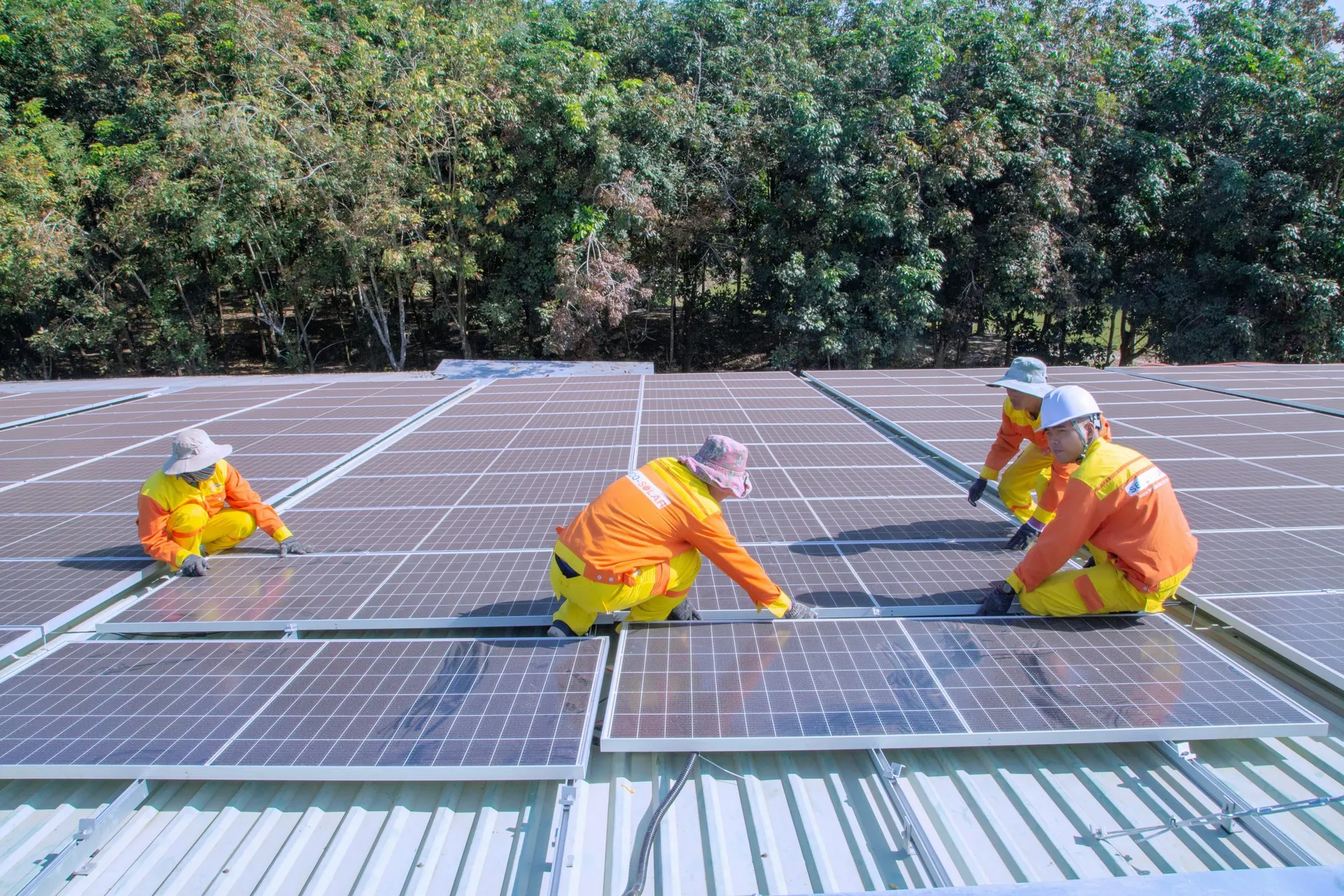 Paneles solares en proyecto Bio House